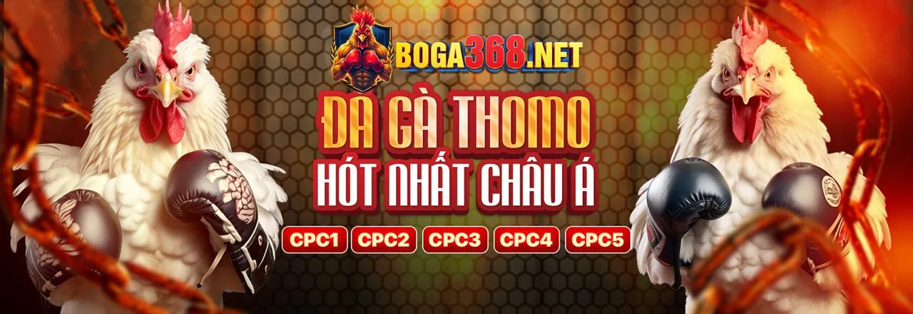 Cấu trúc cấp độ VIP thomo123